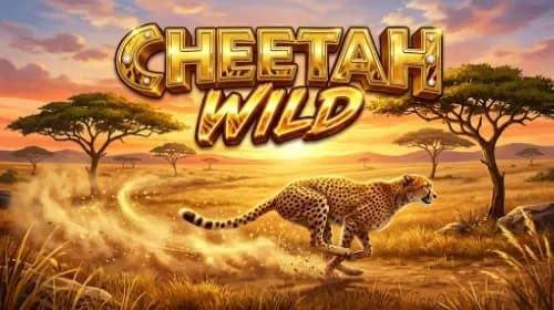 Cheetah Wild