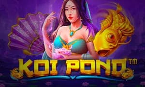 Koi Pond
