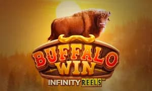 Buffalo Win