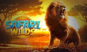 Safari Wilds